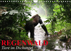 Buchcover Regenwald • Tiere im Dschungel (Wandkalender 2022 DIN A4 quer) | Elisabeth Stanzer | EAN 9783673093654 | ISBN 3-673-09365-7 | ISBN 978-3-673-09365-4