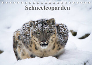 Buchcover Schneeleoparden (Tischkalender 2022 DIN A5 quer) | Cloudtail | EAN 9783673229831 | ISBN 3-673-22983-4 | ISBN 978-3-673-22983-1