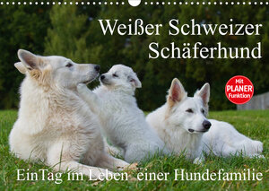 Buchcover Weißer Schweizer Schäferhund - Ein Tag im Leben einer Hundefamilie (Wandkalender 2022 DIN A3 quer) | Sigrid Starick | EAN 9783673318474 | ISBN 3-673-31847-0 | ISBN 978-3-673-31847-4