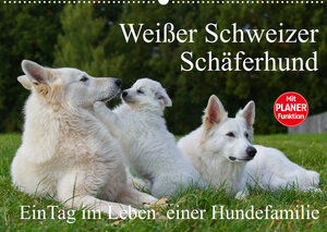 Buchcover Weißer Schweizer Schäferhund - Ein Tag im Leben einer Hundefamilie (Wandkalender 2022 DIN A2 quer) | Sigrid Starick | EAN 9783673318481 | ISBN 3-673-31848-9 | ISBN 978-3-673-31848-1