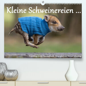 Buchcover Kleine Schweinereien (Premium, hochwertiger DIN A2 Wandkalender 2022, Kunstdruck in Hochglanz) | Werner Schmäing | EAN 9783673329852 | ISBN 3-673-32985-5 | ISBN 978-3-673-32985-2