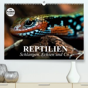 Buchcover Reptilien. Schlangen, Echsen und Co. (Premium, hochwertiger DIN A2 Wandkalender 2022, Kunstdruck in Hochglanz) | Elisabeth Stanzer | EAN 9783673338168 | ISBN 3-673-33816-1 | ISBN 978-3-673-33816-8