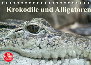 Buchcover Krokodile und Alligatoren (Tischkalender 2022 DIN A5 quer) | Elisabeth Stanzer | EAN 9783673338250 | ISBN 3-673-33825-0 | ISBN 978-3-673-33825-0