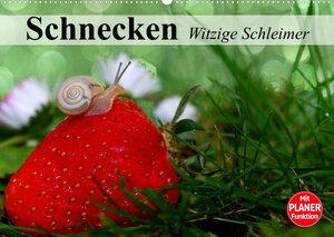 Buchcover Schnecken. Witzige Schleimer (Wandkalender 2022 DIN A2 quer) | Elisabeth Stanzer | EAN 9783673338342 | ISBN 3-673-33834-X | ISBN 978-3-673-33834-2