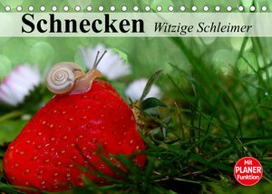 Buchcover Schnecken. Witzige Schleimer (Tischkalender 2022 DIN A5 quer) | Elisabeth Stanzer | EAN 9783673338359 | ISBN 3-673-33835-8 | ISBN 978-3-673-33835-9