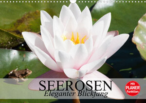 Buchcover Seerosen. Eleganter Blickfang (Wandkalender 2022 DIN A3 quer) | Elisabeth Stanzer | EAN 9783673338786 | ISBN 3-673-33878-1 | ISBN 978-3-673-33878-6