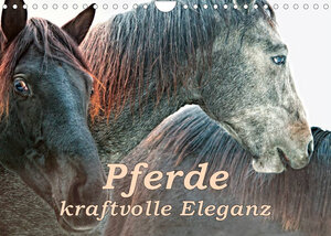 Buchcover Pferde - kraftvolle Eleganz (Wandkalender 2022 DIN A4 quer) | Liselotte Brunner-Klaus | EAN 9783673409943 | ISBN 3-673-40994-8 | ISBN 978-3-673-40994-3
