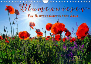 Buchcover Blumenwiesen – ein blütenzauberhaftes Jahr (Wandkalender 2022 DIN A4 quer) | Peter Roder | EAN 9783673418631 | ISBN 3-673-41863-7 | ISBN 978-3-673-41863-1