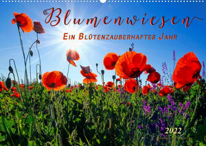 Buchcover Blumenwiesen – ein blütenzauberhaftes Jahr (Wandkalender 2022 DIN A2 quer) | Peter Roder | EAN 9783673418655 | ISBN 3-673-41865-3 | ISBN 978-3-673-41865-5