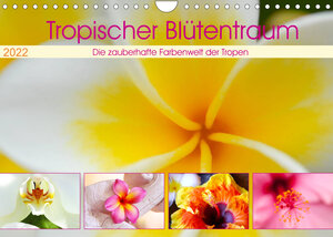 Buchcover Tropischer Blütentraum (Wandkalender 2022 DIN A4 quer) | Travelpixx.com | EAN 9783673499418 | ISBN 3-673-49941-6 | ISBN 978-3-673-49941-8