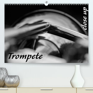 Buchcover Trompete - Close up (Premium, hochwertiger DIN A2 Wandkalender 2022, Kunstdruck in Hochglanz) | Silvia Drafz | EAN 9783673529894 | ISBN 3-673-52989-7 | ISBN 978-3-673-52989-4