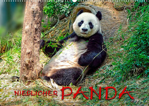 Buchcover Niedlicher Panda (Wandkalender 2022 DIN A2 quer) | Peter Roder | EAN 9783673557620 | ISBN 3-673-55762-9 | ISBN 978-3-673-55762-0