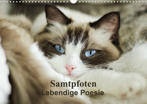 Buchcover Samtpfoten Lebendige Poesie (Wandkalender 2022 DIN A3 quer) | Marion Reiß-Seibert | EAN 9783673587887 | ISBN 3-673-58788-9 | ISBN 978-3-673-58788-7