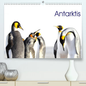 Buchcover Antarktis - viaje.ch (Premium, hochwertiger DIN A2 Wandkalender 2022, Kunstdruck in Hochglanz) | © viaje.ch | EAN 9783673590900 | ISBN 3-673-59090-1 | ISBN 978-3-673-59090-0