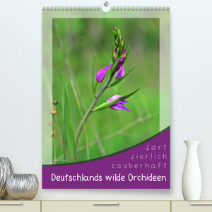 Buchcover Deutschlands wilde Orchideen (Premium, hochwertiger DIN A2 Wandkalender 2022, Kunstdruck in Hochglanz) | Sabine Löwer | EAN 9783673629921 | ISBN 3-673-62992-1 | ISBN 978-3-673-62992-1