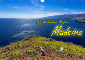 Buchcover Auf Schusters Rappen... Madeira (Wandkalender 2022 DIN A3 quer) | Joerg Sobottka | EAN 9783673715297 | ISBN 3-673-71529-1 | ISBN 978-3-673-71529-7