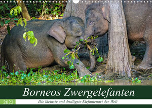 Buchcover Borneos Zwergelefanten (Wandkalender 2022 DIN A3 quer) | Arne Wünsche | EAN 9783673801457 | ISBN 3-673-80145-7 | ISBN 978-3-673-80145-7