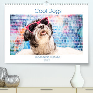Buchcover Cool Dogs - Hunde-Spaß im Studio (Premium, hochwertiger DIN A2 Wandkalender 2022, Kunstdruck in Hochglanz) | Sonja Teßen | EAN 9783673809934 | ISBN 3-673-80993-8 | ISBN 978-3-673-80993-4