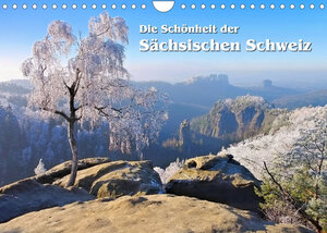 Buchcover Die Schönheit der Sächsischen Schweiz (Wandkalender 2022 DIN A4 quer) | LianeM | EAN 9783673814129 | ISBN 3-673-81412-5 | ISBN 978-3-673-81412-9