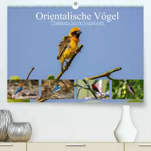 Buchcover Orientalische Vögel - Thailands bunte Vogelwelt (Premium, hochwertiger DIN A2 Wandkalender 2022, Kunstdruck in Hochglanz) | Arne Wünsche | EAN 9783673888748 | ISBN 3-673-88874-9 | ISBN 978-3-673-88874-8