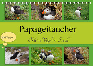 Buchcover Papageitaucher Kleine Vögel im Frack CH Version (Tischkalender 2022 DIN A5 quer) | Babett Paul - Babett's Bildergalerie | EAN 9783673917073 | ISBN 3-673-91707-2 | ISBN 978-3-673-91707-3