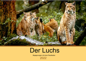 Buchcover Der Luchs - Begegnungen mit einer Raubkatze (Wandkalender 2022 DIN A2 quer) | Ralf Metzger | EAN 9783673973161 | ISBN 3-673-97316-9 | ISBN 978-3-673-97316-1