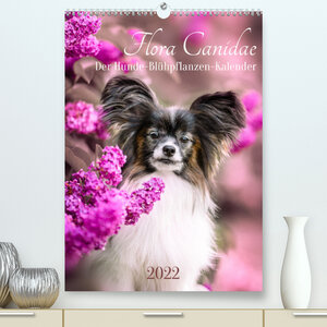 Buchcover Flora Canidae - der Hunde-Blühpflanzen-Kalender (Premium, hochwertiger DIN A2 Wandkalender 2022, Kunstdruck in Hochglanz) | boegau-fotos | EAN 9783673985232 | ISBN 3-673-98523-X | ISBN 978-3-673-98523-2