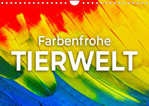 Buchcover Farbenfrohe Tierwelt (Wandkalender 2022 DIN A4 quer) | SF | EAN 9783674016119 | ISBN 3-674-01611-7 | ISBN 978-3-674-01611-9