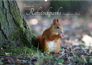 Buchcover Bewohner des Rebstockparks Frankfurt am Main (Wandkalender 2022 DIN A2 quer) | Dieter Fuchs | EAN 9783674056085 | ISBN 3-674-05608-9 | ISBN 978-3-674-05608-5
