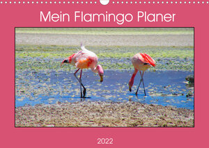 Buchcover Mein Flamingo Planer (Wandkalender 2022 DIN A3 quer) | Piera Marlena Büchler | EAN 9783674062093 | ISBN 3-674-06209-7 | ISBN 978-3-674-06209-3