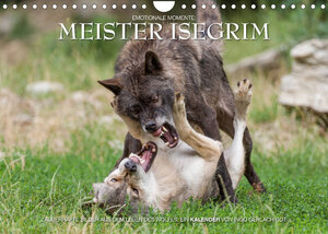 Buchcover Meister Isegrim (Wandkalender 2023 DIN A4 quer) | Ingo Gerlach GDT | EAN 9783674248671 | ISBN 3-674-24867-0 | ISBN 978-3-674-24867-1