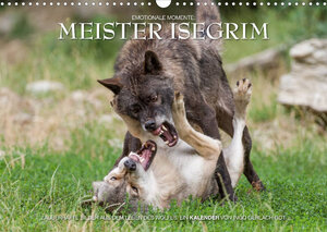 Buchcover Meister Isegrim (Wandkalender 2023 DIN A3 quer) | Ingo Gerlach GDT | EAN 9783674248688 | ISBN 3-674-24868-9 | ISBN 978-3-674-24868-8