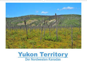 Buchcover Yukon Territory - Der Nordwesten Kanadas (Wandkalender 2023 DIN A2 quer) | Frank Selzam | EAN 9783674248749 | ISBN 3-674-24874-3 | ISBN 978-3-674-24874-9