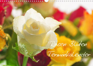 Buchcover Rosen Blüten Terminkalender (Wandkalender 2023 DIN A3 quer) | Tanja Riedel | EAN 9783674249814 | ISBN 3-674-24981-2 | ISBN 978-3-674-24981-4