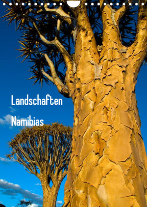 Buchcover Landschaften Namibias (Wandkalender 2023 DIN A4 hoch) | Frauke Scholz | EAN 9783674259417 | ISBN 3-674-25941-9 | ISBN 978-3-674-25941-7
