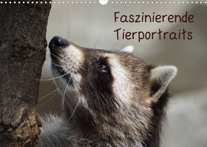 Buchcover Faszinierende Tierportraits (Wandkalender 2023 DIN A3 quer) | kattobello | EAN 9783674259653 | ISBN 3-674-25965-6 | ISBN 978-3-674-25965-3