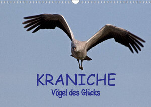 Buchcover Kraniche - Vögel des Glücks (Wandkalender 2023 DIN A3 quer) | Ralf Weise | EAN 9783674259684 | ISBN 3-674-25968-0 | ISBN 978-3-674-25968-4
