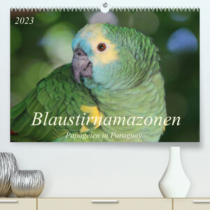Buchcover Blaustirnamazonen - Papageien in Paraguay (Premium, hochwertiger DIN A2 Wandkalender 2023, Kunstdruck in Hochglanz) | Bettina Schneider | EAN 9783674372406 | ISBN 3-674-37240-1 | ISBN 978-3-674-37240-6