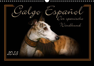 Buchcover Galgo Español 2023- Der spanische Windhund (Wandkalender 2023 DIN A3 quer) | Andrea Redecker | EAN 9783674389565 | ISBN 3-674-38956-8 | ISBN 978-3-674-38956-5