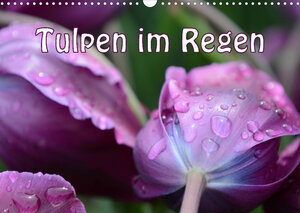 Buchcover Tulpen im Regen (Wandkalender 2023 DIN A3 quer) | GUGIGEI | EAN 9783674389718 | ISBN 3-674-38971-1 | ISBN 978-3-674-38971-8
