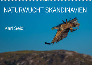 Buchcover Naturwucht Skandinavien (Wandkalender 2023 DIN A2 quer) | Karl Seidl | EAN 9783674424471 | ISBN 3-674-42447-9 | ISBN 978-3-674-42447-1
