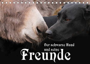 Buchcover Der schwarze Hund und seine Freunde (Tischkalender 2023 DIN A5 quer) | Michael Gsödl | EAN 9783674439048 | ISBN 3-674-43904-2 | ISBN 978-3-674-43904-8
