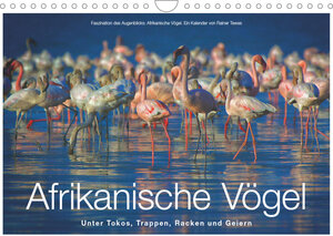 Buchcover Afrikanische Vögel (Wandkalender 2023 DIN A4 quer) | Rainer Tewes | EAN 9783674439741 | ISBN 3-674-43974-3 | ISBN 978-3-674-43974-1