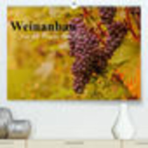 Buchcover Weinanbau. Von der Traube zum Wein (Premium, hochwertiger DIN A2 Wandkalender 2023, Kunstdruck in Hochglanz) | Elisabeth Stanzer | EAN 9783674629579 | ISBN 3-674-62957-7 | ISBN 978-3-674-62957-9