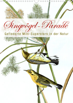 Buchcover Singvögel-Parade (Wandkalender 2023 DIN A3 hoch) | Bilder: bilwissedition.com Layout: Babette Reek | EAN 9783674629593 | ISBN 3-674-62959-3 | ISBN 978-3-674-62959-3