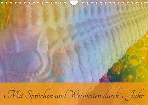 Buchcover Mit Sprüchen und Weisheiten durch´s Jahr (Wandkalender 2023 DIN A4 quer) | Lydia Weih | EAN 9783674648648 | ISBN 3-674-64864-4 | ISBN 978-3-674-64864-8