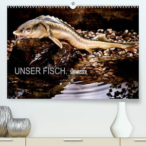 Buchcover UNSER FISCH. SÜßWASSER. (Premium, hochwertiger DIN A2 Wandkalender 2023, Kunstdruck in Hochglanz) | arne morgenstern | EAN 9783674648990 | ISBN 3-674-64899-7 | ISBN 978-3-674-64899-0