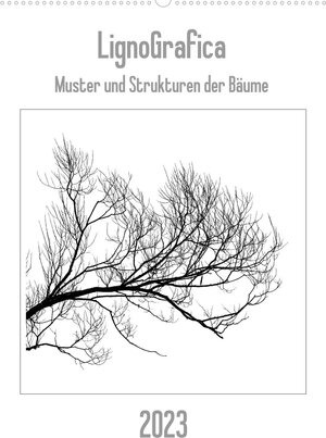 Buchcover LignoGrafica - Muster und Strukturen der Bäume (Wandkalender 2023 DIN A2 hoch) | Franco Tessarolo | EAN 9783674709356 | ISBN 3-674-70935-X | ISBN 978-3-674-70935-6