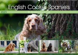 Buchcover English Cocker Spaniels - Ein Spaziergang im Park (Wandkalender 2023 DIN A2 quer) | Fotodesign Verena Scholze | EAN 9783674709639 | ISBN 3-674-70963-5 | ISBN 978-3-674-70963-9