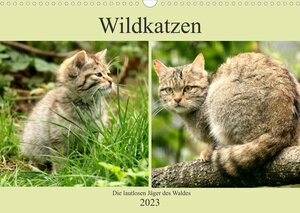 Buchcover Wildkatzen - Die lautlosen Jäger des Waldes (Wandkalender 2023 DIN A3 quer) | Arno Klatt | EAN 9783674750754 | ISBN 3-674-75075-9 | ISBN 978-3-674-75075-4